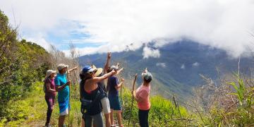 Evénement solidaire : 100 agents ont découvert l’écosystème du Mont Panié