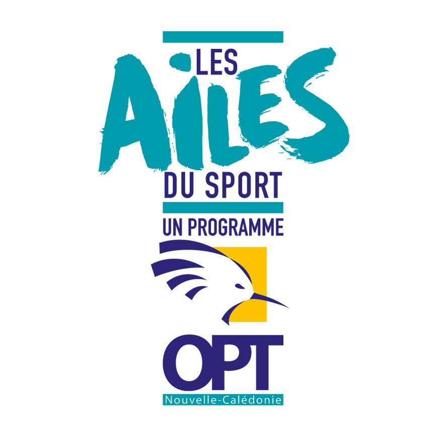 Logo les Ailes du sport